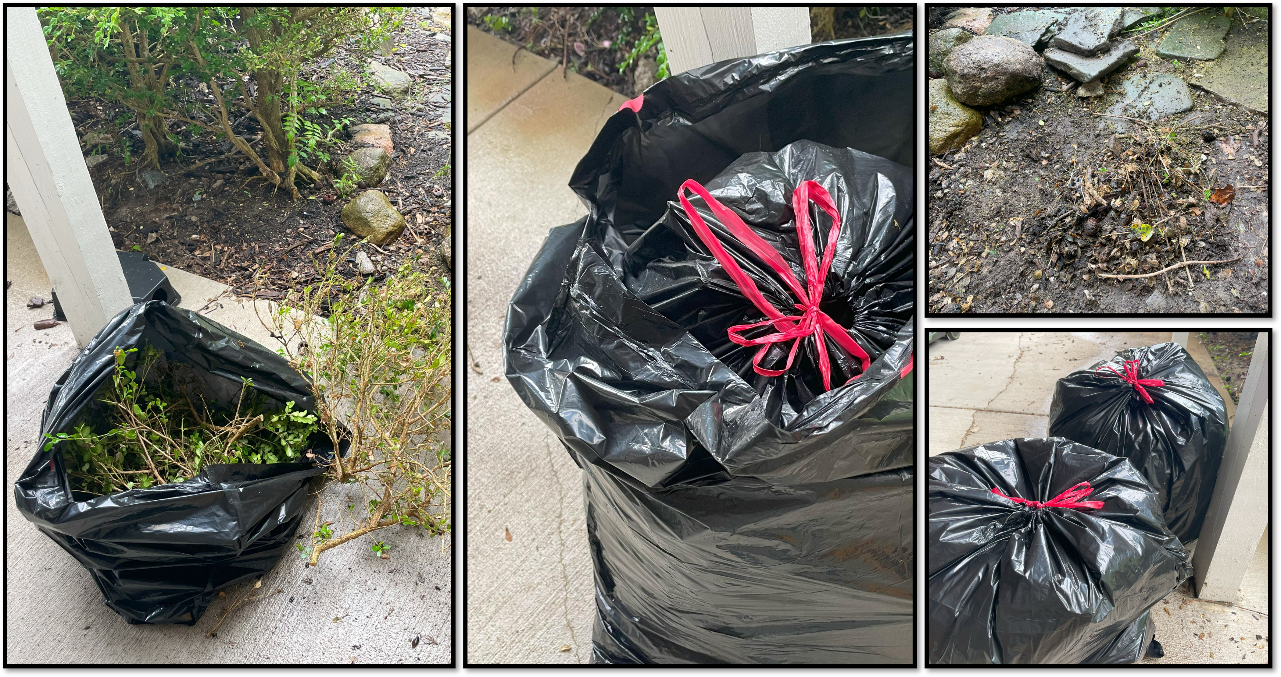 Example of a double-bagged plant material.